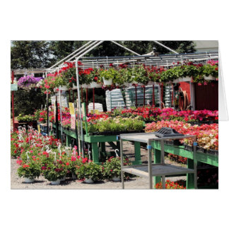 bloemenwinkel