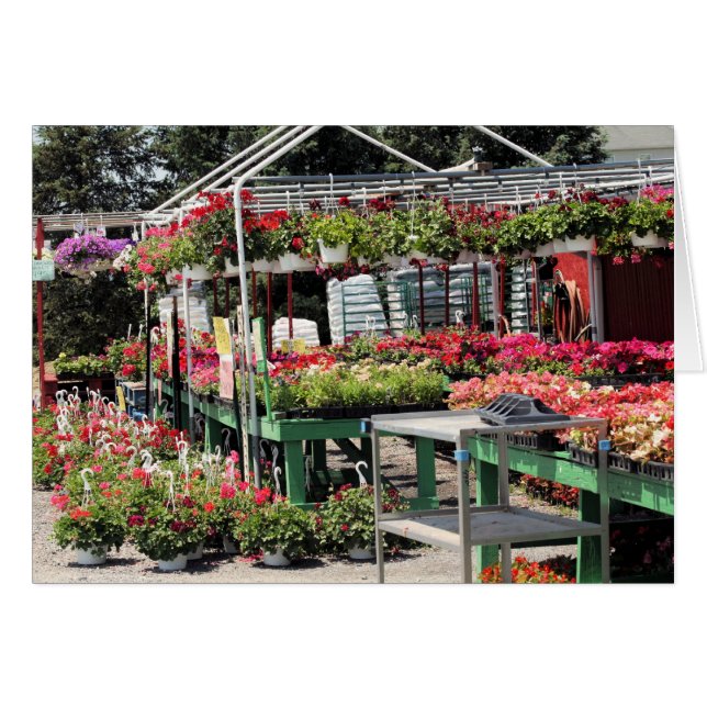 bloemenwinkel (Voorkant Horizontaal)