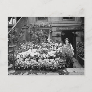 Bloemenwinkel New York, 1895 Briefkaart