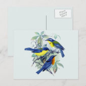  Bloemenzangvogels Kleding en geschenken Briefkaart (Voorkant / Achterkant)