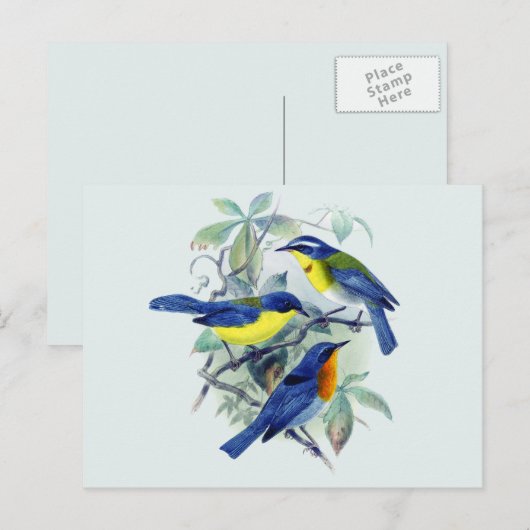 Bloemenzangvogels Kleding en geschenken Briefkaart (Voorkant / Achterkant)