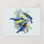  Bloemenzangvogels Kleding en geschenken Briefkaart (Voorkant)