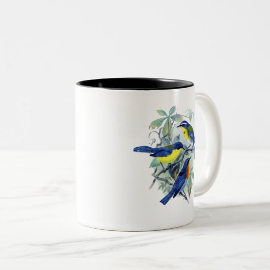  Bloemenzangvogels Kleding en geschenken Tweekleurige Koffiemok (Voorkant rechts)