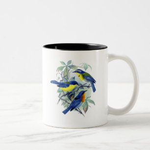  Bloemenzangvogels Kleding en geschenken Tweekleurige Koffiemok