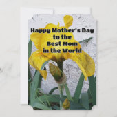 Bloemfoto van gele iris | Moederdag-prijsopgave Feestdagenkaart (Voorkant)