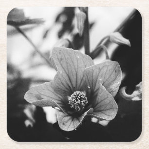 Bloemfotografie in zwart-wit kartonnen onderzetters