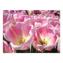 Bloemfotografie kunstprints Tulpen Bloemen Natuur Foto Afdruk