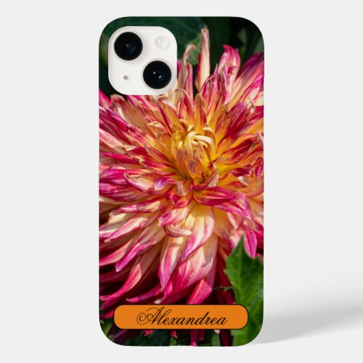Bloemfotografie, Oranje chrysant Case-Mate iPhone Case (Achterkant)