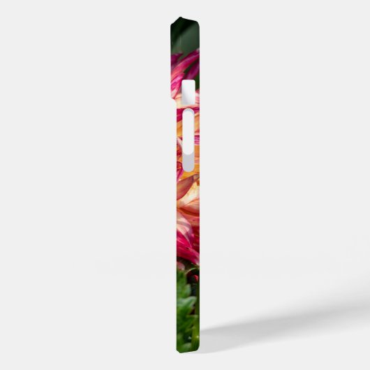 Bloemfotografie, Oranje chrysant Case-Mate iPhone Case (Achterkant / Links)