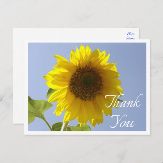 Bloemgeel Zonnebloem Dank u Bloem Briefkaart (Voorkant / Achterkant)