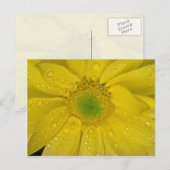 Bloemgeelbloemen Briefkaart (Voorkant / Achterkant)