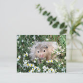 Bloemhamster Briefkaart (Staand voorkant)