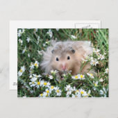 Bloemhamster Briefkaart (Voorkant / Achterkant)