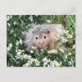 Bloemhamster Briefkaart (Voorkant)
