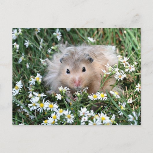 Bloemhamster Briefkaart (Voorkant)