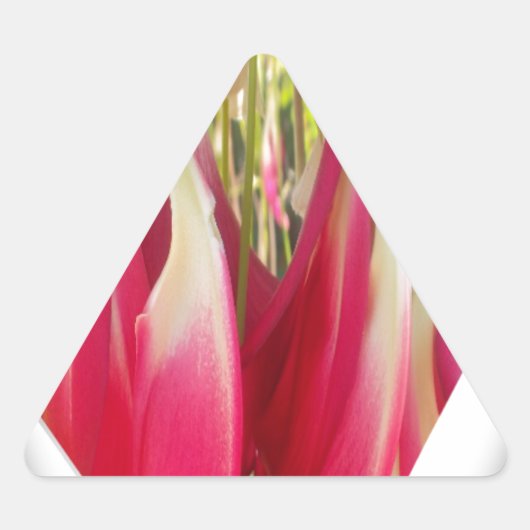 Bloemhart Kunstprint Sticker (Voorkant)