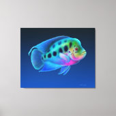 Bloemhoorn Cichlid Fish Wrapped Canvas (Voorkant)