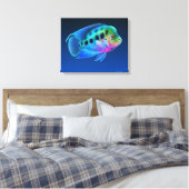 Bloemhoorn Cichlid Fish Wrapped Canvas Afdruk (Insitu (Slaapkamer))