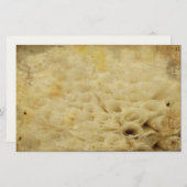 bloemig Briefpapier (Voorkant / Achterkant)