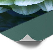  bloemig collectie - Witte dahlia Poster (Hoek)