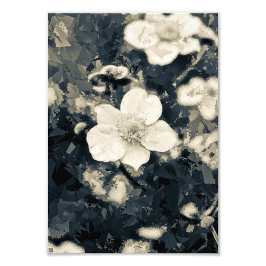 Bloemige Anemoon Botanische Kunst Foto Afdruk (Voorkant)