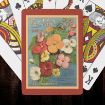 Bloemige Begonias Roze 1902 Zaadpakket Rood Teal