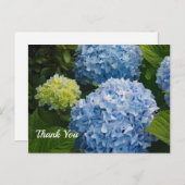 Bloemige Blauwe Hortensia Foto Bedankt Briefkaart (Voorkant / Achterkant)