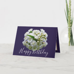 Bloemige Chic Boeket Witte Spirea Bloemen Verjaard Kaart