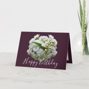 Bloemige Chic Boeket Witte Spirea Bloemen Verjaard Kaart
