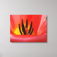Bloemige fijne kunst Rode Tulp Bloem Moderne kunst