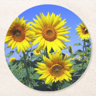 Bloemige Gele Zonnebloem Bloem Blauwe Huwelijksfee Ronde Kartonnen Onderzetter