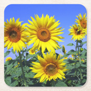 Bloemige Gele Zonnebloem Bloem Blauwe Trouwfeest Kartonnen Onderzetters