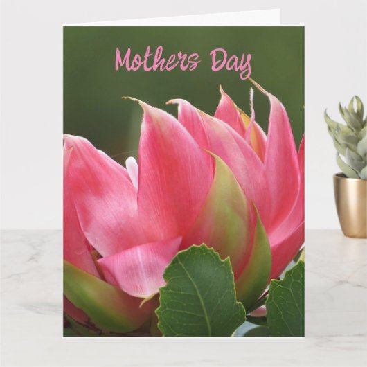 Bloemige Moederdag Wenskaart Kaart (Kleine Plant)