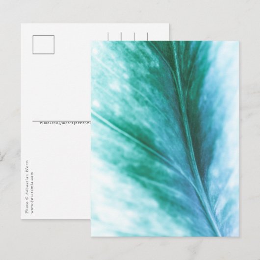 Bloemige Natuur Foto Briefkaart (Voorkant / Achterkant)