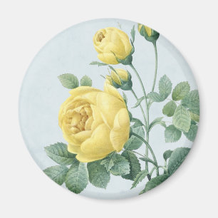 Bloemige vintage magneet met mooie gele roos