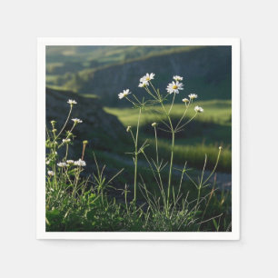 Bloemige Witte Madeliefje Natuur Landschap Servet