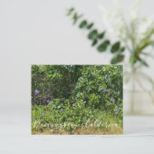 Bloemingen uit Californië! Briefkaart (Staand voorkant)