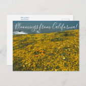 Bloemingen uit Californië! Briefkaart (Voorkant / Achterkant)
