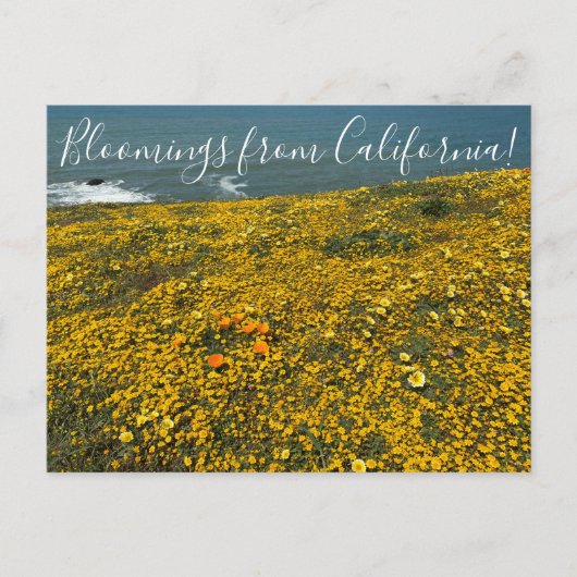Bloemingen uit Californië! Briefkaart (Voorkant)