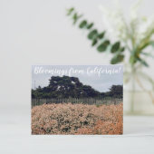 Bloemingen uit Californië! Briefkaart (Staand voorkant)