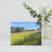 Bloemingen uit Californië! Briefkaart (Staand voorkant)