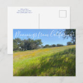 Bloemingen uit Californië! Briefkaart (Voorkant / Achterkant)