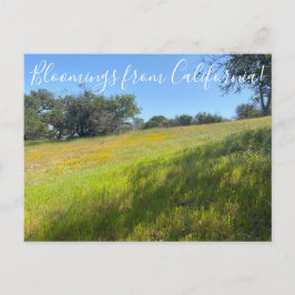 Bloemingen uit Californië! Briefkaart
