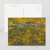 Bloemingen uit Californië! Briefkaart (Voorkant / Achterkant)