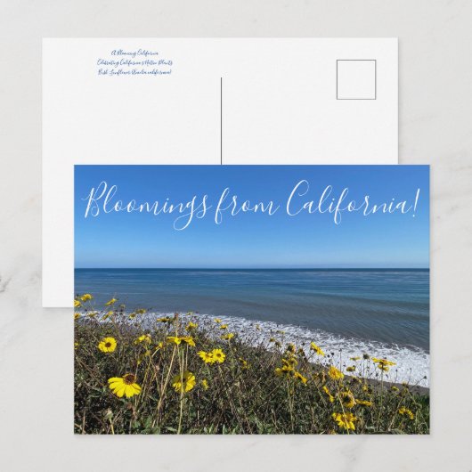 Bloemingen uit Californië! Briefkaart (Voorkant / Achterkant)