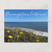 Bloemingen uit Californië! Briefkaart (Voorkant)