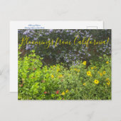 Bloemingen uit Californië Briefkaart (Voorkant / Achterkant)