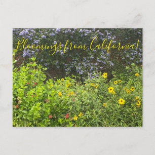 Bloemingen uit Californië Briefkaart