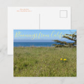Bloemingen uit Californië! - California Poppy Briefkaart (Voorkant / Achterkant)