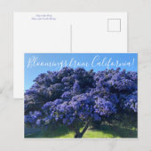 Bloemingen uit Californië: Californië Lila Briefkaart (Voorkant / Achterkant)